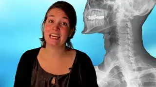 Biologie, Ordening, Het Dierenrijk