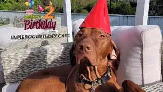 Simple Dog Birthday Cake 