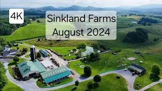 Aerial Views of Beautiful Sinkland Farms (Sunflowers, Corn Maze) - Montgomery Co, VA, August 2024