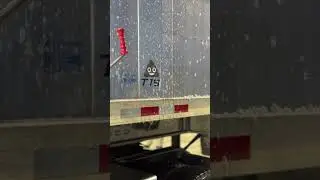 You HAVE to see this after
