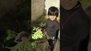chimmu little farmer #cutebaby #viral