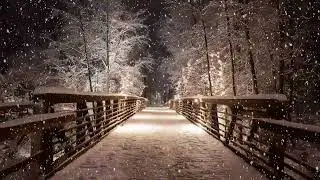 3 Hours of Winter Ambience ❄️ Snowy Bridge at Night