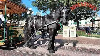 Disneyland Horse-Drawn Street Car Trolley - 