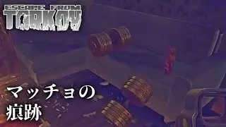 【EFT】戦闘はキモイ方が勝つ　#376【アセスメント】