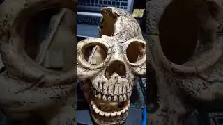 Автоматизированный проем для окна и двери в виде 3D-черепов для Хэллоуина, играющий в &laquo;Сладость и...