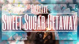 Sweet Sugar Getaway - Galdive [LYRICS]