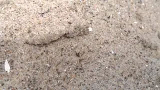 Sand close up