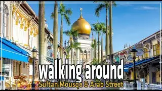 Discover the Hidden Gems of Arab Street Singapore: A Virtual Walking Tour #backpackersingapore