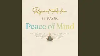 Peace of Mind (feat. Ras316, BeatsByMantra & jang0)