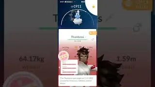 Maxing out 100% IV Thundurus in Pok&eacute;monGo #pokemongo #catchlegendarypokemon #pokemon