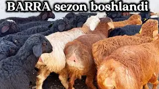 2026 BARA sezon boshlanddi BIRINCHI LARDAN ULGIRIB QOLING .SHOK😱🔥NARX.