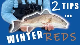 How to catch Redfish in the winter after a cold front. |Fishing Steinhatchee, FL
