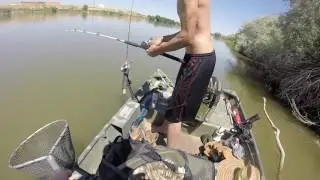 Catfishing the Snake River