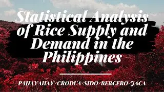 Statistical Analysis of Rice Supply and Demand in the Philippines