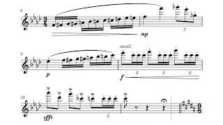 Flute Midstate Concept 11/12 Grade by Shane Barnes