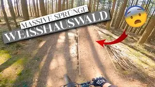 Naturbelassene Trails im Weißhauswald Trier | Heftige Sprünge | Wie geil sind bitte diese Strecken!?