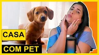 Decora&ccedil;&atilde;o PET-FRIENDLY que vai MUDAR sua casa?