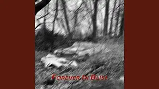 Forever in Bliss