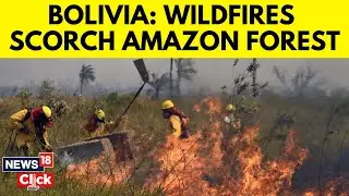 Bolivia Amazon Wildfire News | Massive Fires Fan Greenhouse Emissions | News18 | N18V