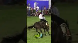Bastos con Encimera en la 43&deg; edici&oacute;n de la Jineteada y Bailanta del Mart&iacute;n Fierro
