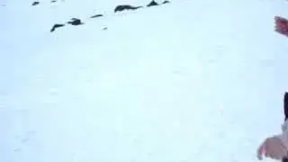S&auml;ntis Berg