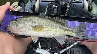 My most viewed shorts of 2024 - thanks ❤️❤️ #fishing #bassfishing #kayakangler #kayakfishing #kayak