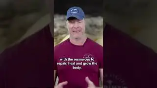The Best Saturated Fats for a Carnivore Diet!