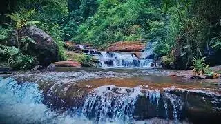 Mountain River Waterfall Flowing | Water Sounds, Nature White Noise, River Sounds for Sleeping