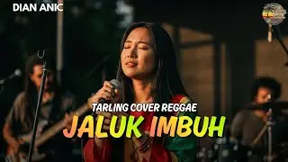 JALUK IMBUH - DIAN ANIC {Tarling Reggae Cover} Viral TikTok 2025