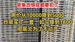 房价从10000降到5000，抄底买了一套，如今降到1800，彻底沦为了不动产