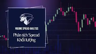 Volume Spread Analysis (7) Ph&acirc;n t&iacute;ch Spread Khối lượng