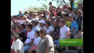 Репортаж программы 