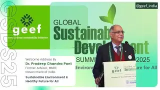 GEEF Global Sustainable Development Summit: Dr. P C Pant, Former Advisor, MNRE