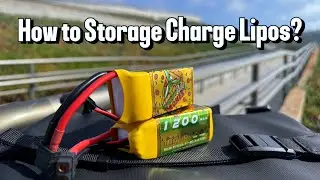 LIPO 101: How & Why Storage charge Lipos with Hota D6 Charger? #beginners #fpv #drone