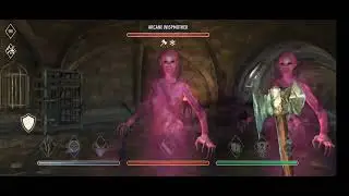 Elder Scrolls: Blades - Event: Beast in the Shadows (speedrun)