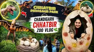 Chhatbir Zoo Chandigarh II Family zoo Trip  || Dinosaur Park II Lion Safari
