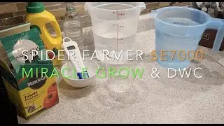 MIRACLE GROW FOR DWC, PPM , Spider Farmer LED, Tent Grow How to Grow Your own!
