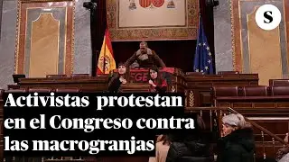 Activistas de Futuro Vegetal protestan en el Congreso contra las subvenciones a las macrogranjas