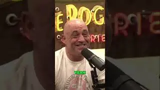 Nazis on Meth? Elon Musk Explains