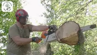 Professional Storm Cleanup & Tree Removal by Russ&rsquo;s Tree Service