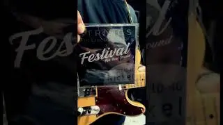 Струны для гитары  фестиваль Festival