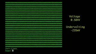 Plundervolt - Memory Corruption inside SGX