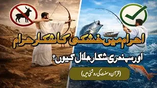 احرام میں خشکی کا شکار حرام اور سمندری شکار حلال کیوں؟