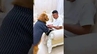 #SleepingPets#SleepingPets#CutePetReactions#PetLife#FunnyPets#exoticpetsintamil
