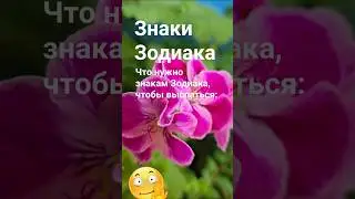 А что нужно знакам Зодиака,  чтобы выспаться  / Эзотерика Гороскоп Астрология