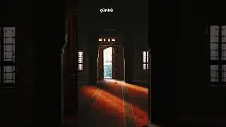 Riyaz&uuml;'s-Salihin 273 (M3645 M&uuml;slim, Rad&acirc;&rsquo;, 61)