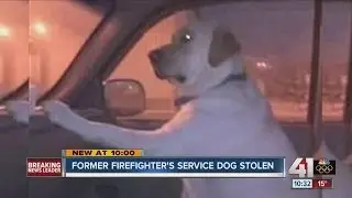 Former firefighter's stolen service dog found