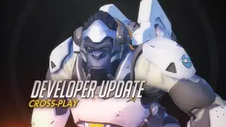 Developer Update | Cross-Play | Overwatch