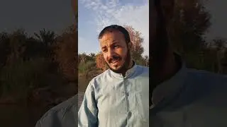 المبدع الناعي السيد ليث الشوكي