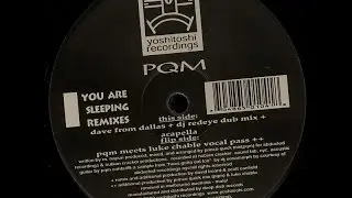 PQM &lrm;&ndash; You Are Sleeping (PQM Meets Luke Chable Vocal Pass)